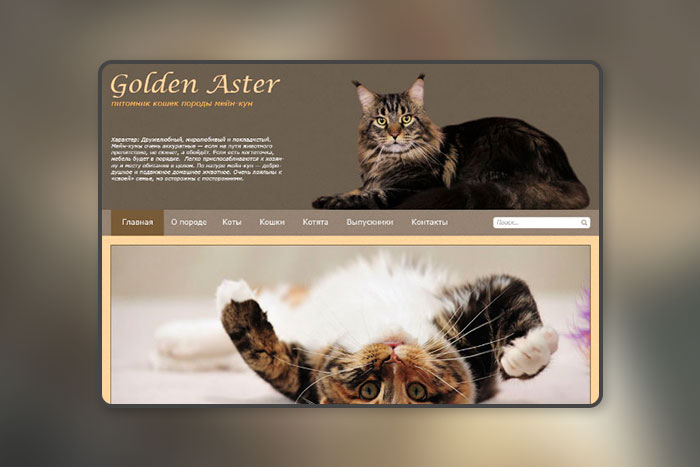 Питомник кошек